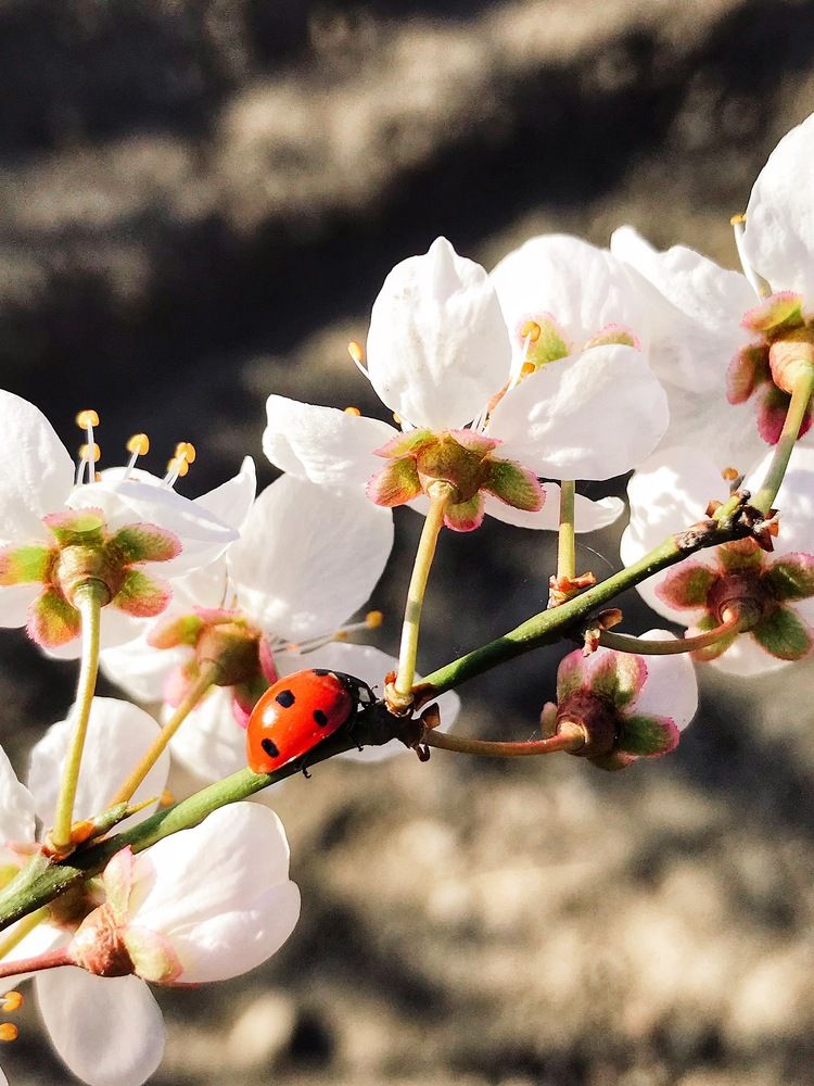 Photograph by Яна Сел