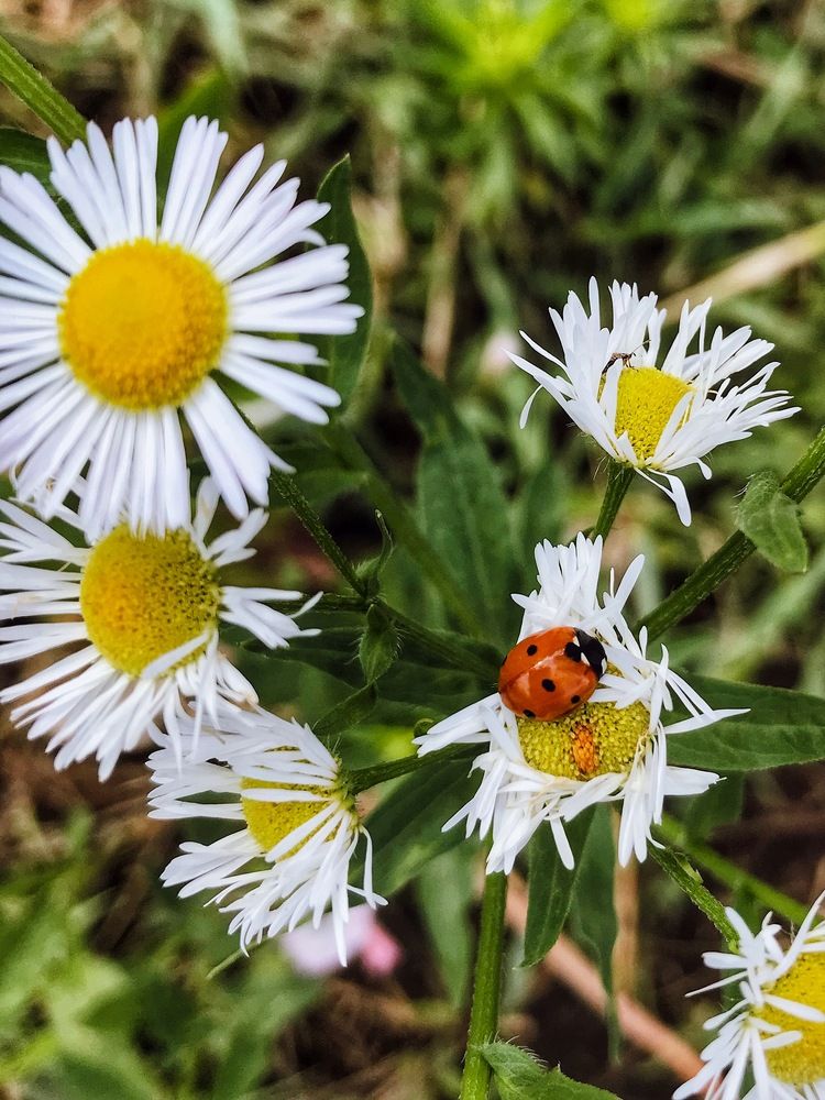 Photograph by Яна Сел