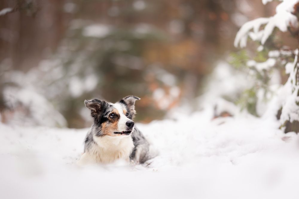 Photograph by Tomas Danco