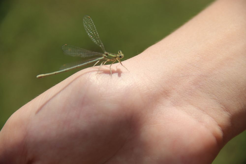 Photograph by Жанна Мещерякова