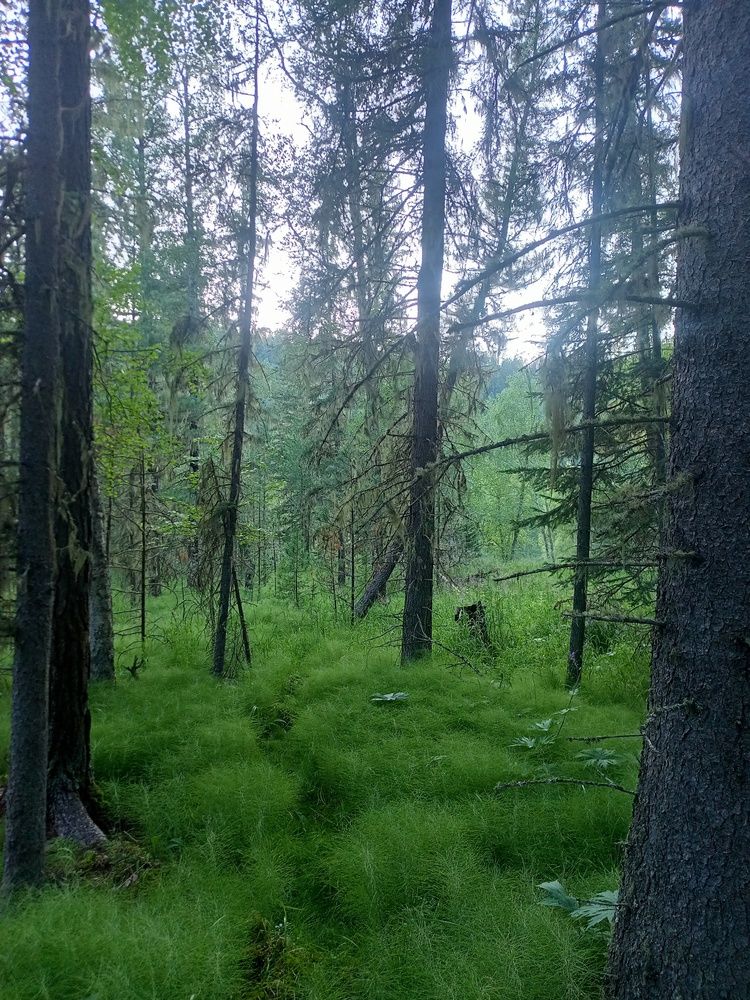 Photo #12034452