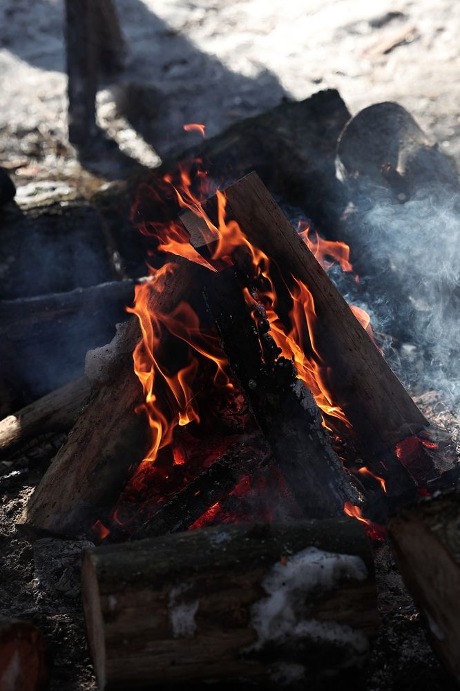 Photograph by Елена Одынец