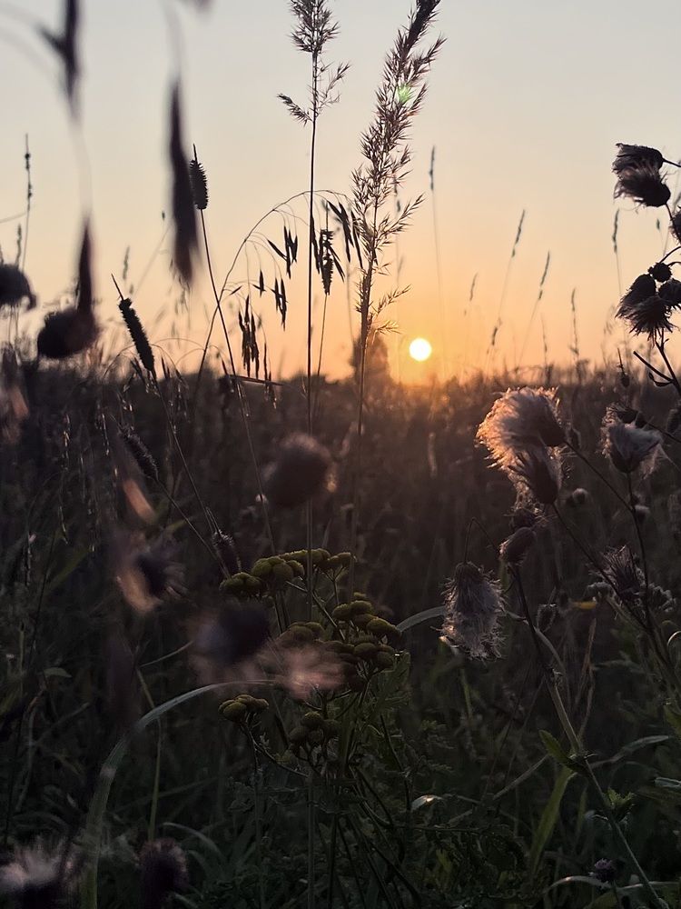 Пейзажи Каширы