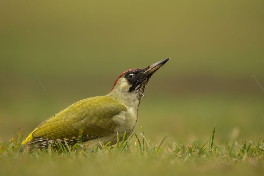 Photograph by Соварцева Ксения