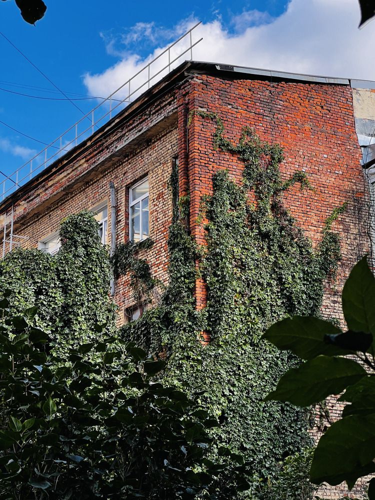 Photograph by Денис Лапшин