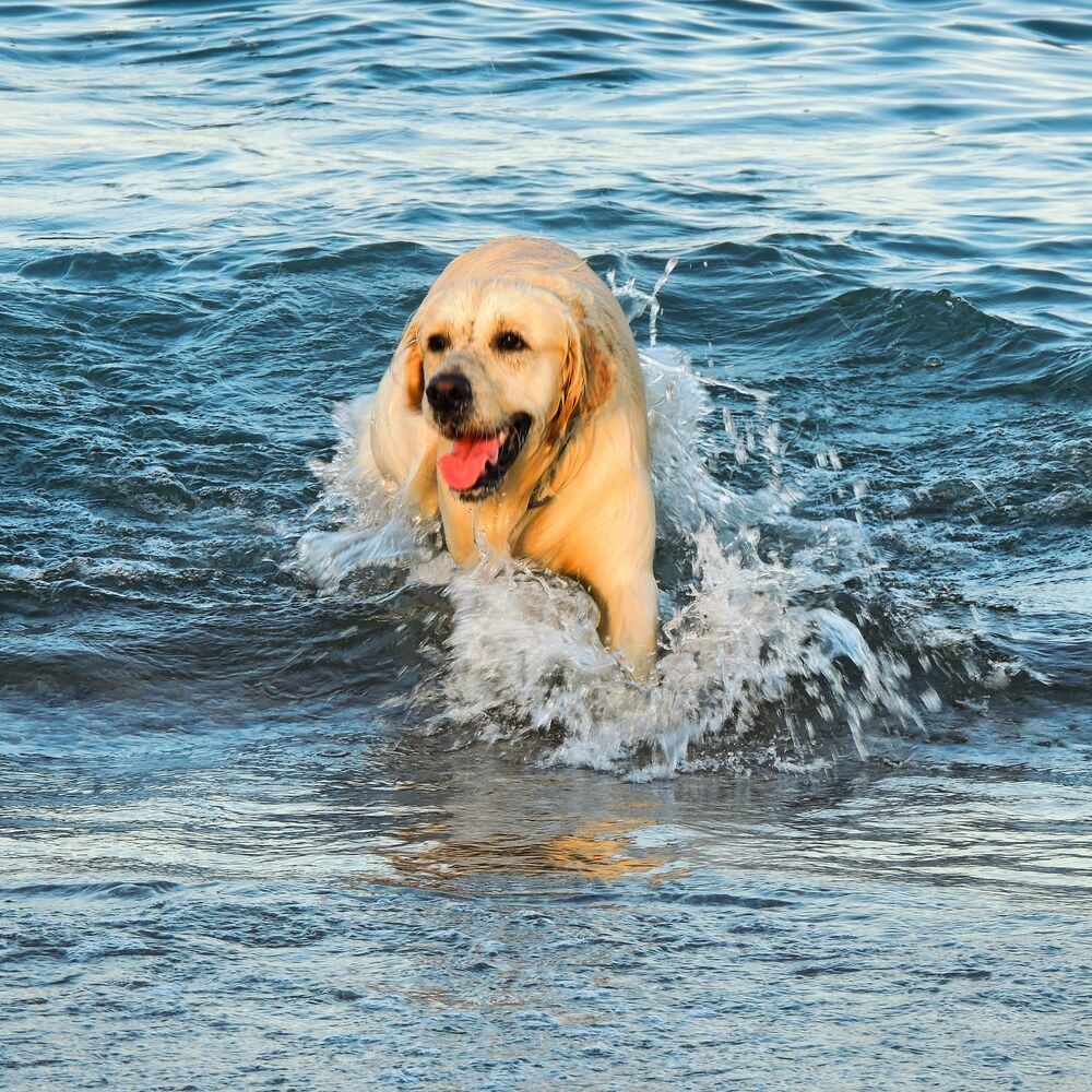 Photograph by Juan Hidalgo Martínez