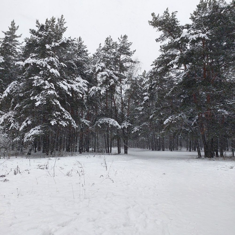Photograph by Светлана Коршунова