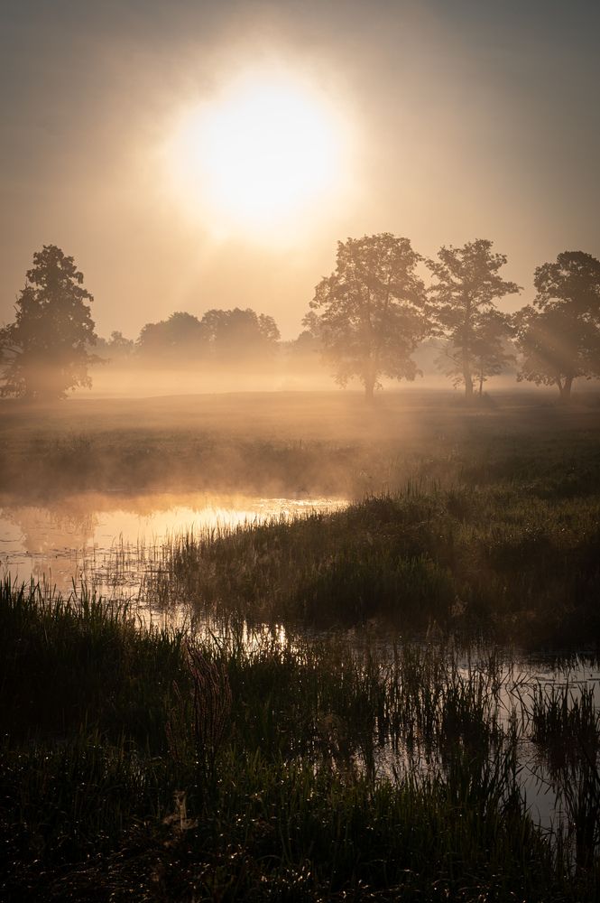 Photograph by Marta Szyzdek
