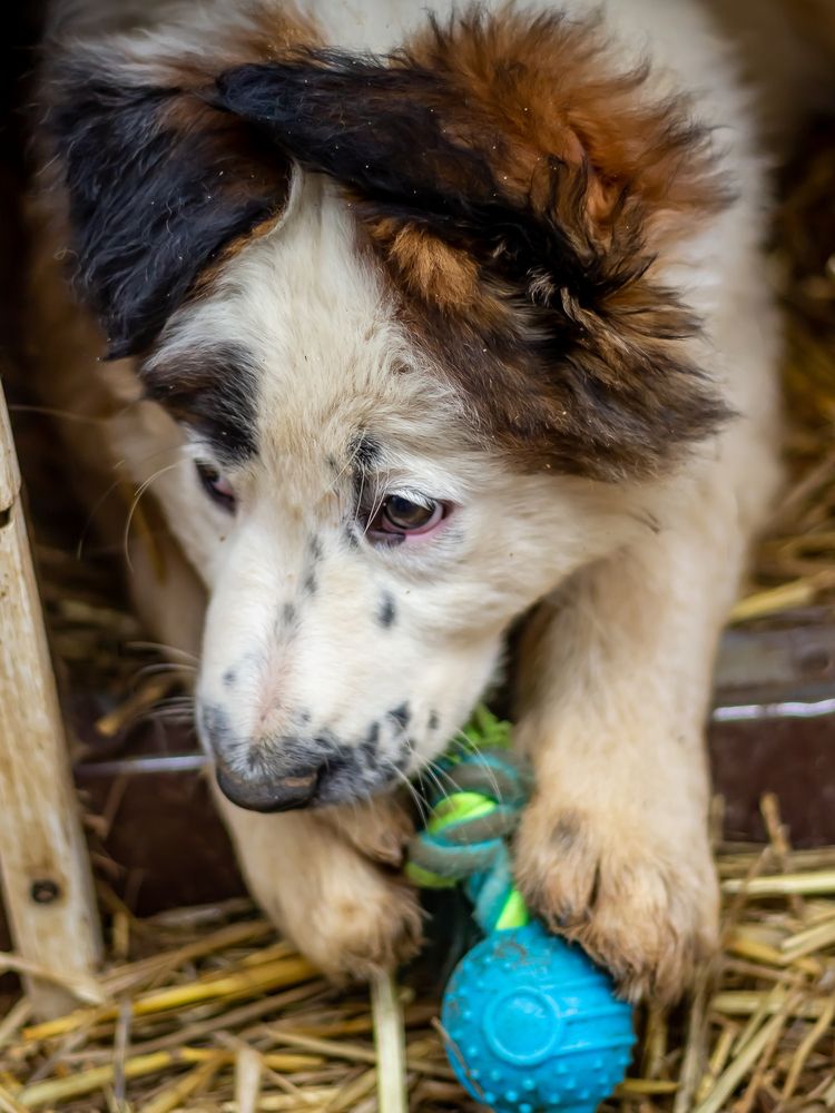 Photograph by Оксана Кудрявцева