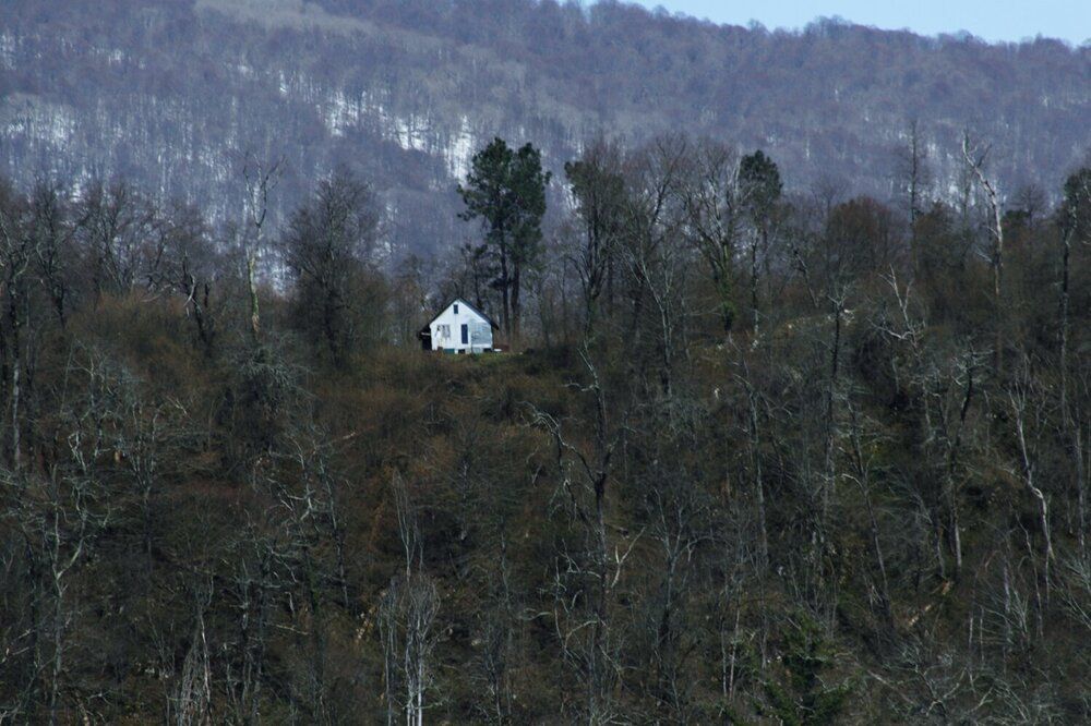 Photograph by Наталья