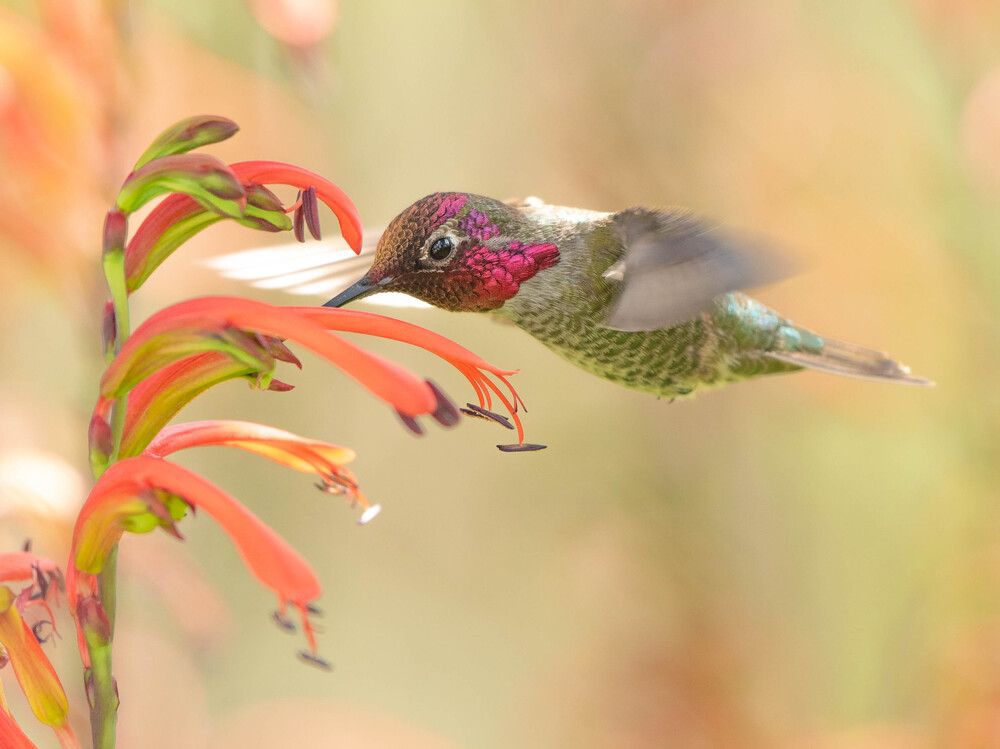 Photograph by Antara Chakravarty