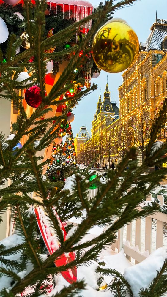 Фотография автора Елизавета Синицына