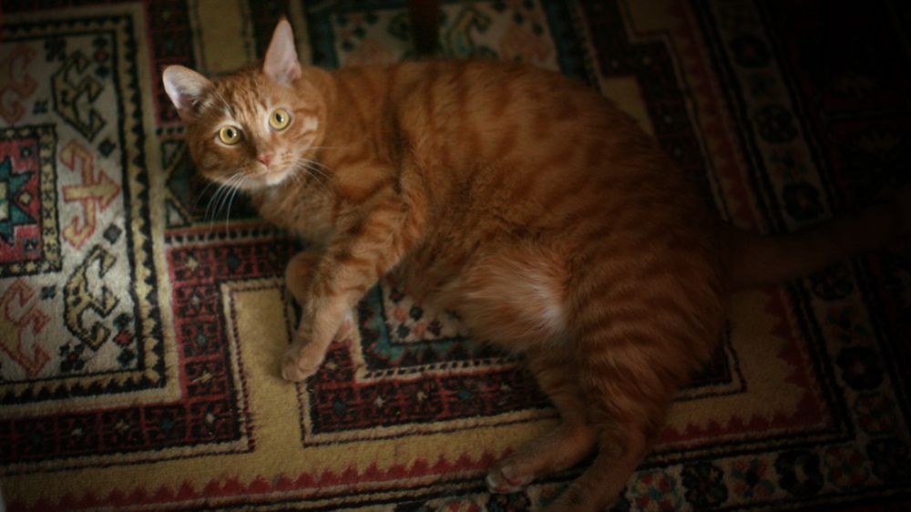 Photograph by Алексей