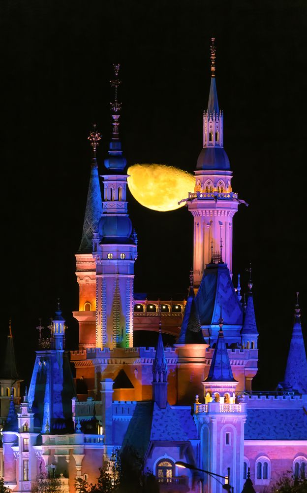 Photograph by Liang junjie