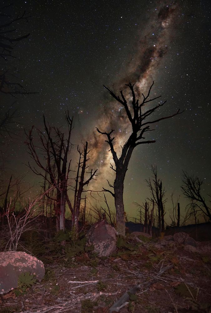 Photograph by Maturana Marcelo