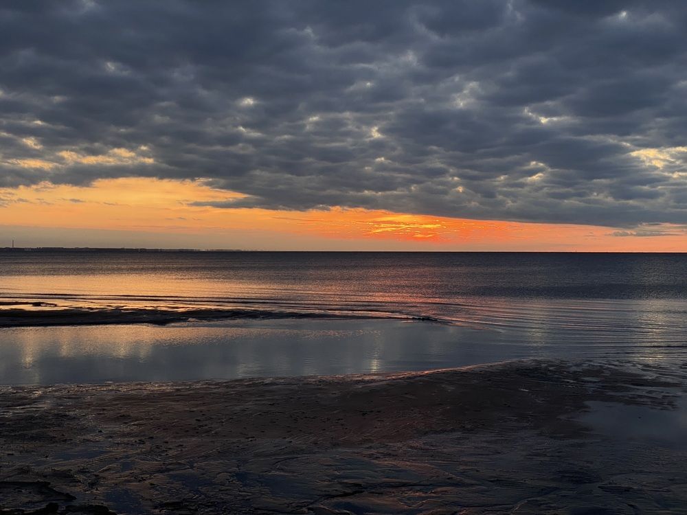 Photograph by Elena Kravchenko