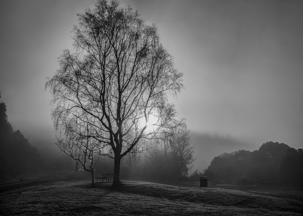 Photograph by Gustavo Silva de Almeida