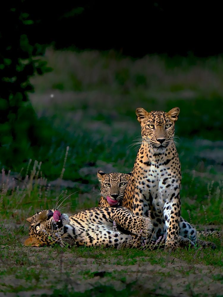 Photograph by Gurvinder Chhabra