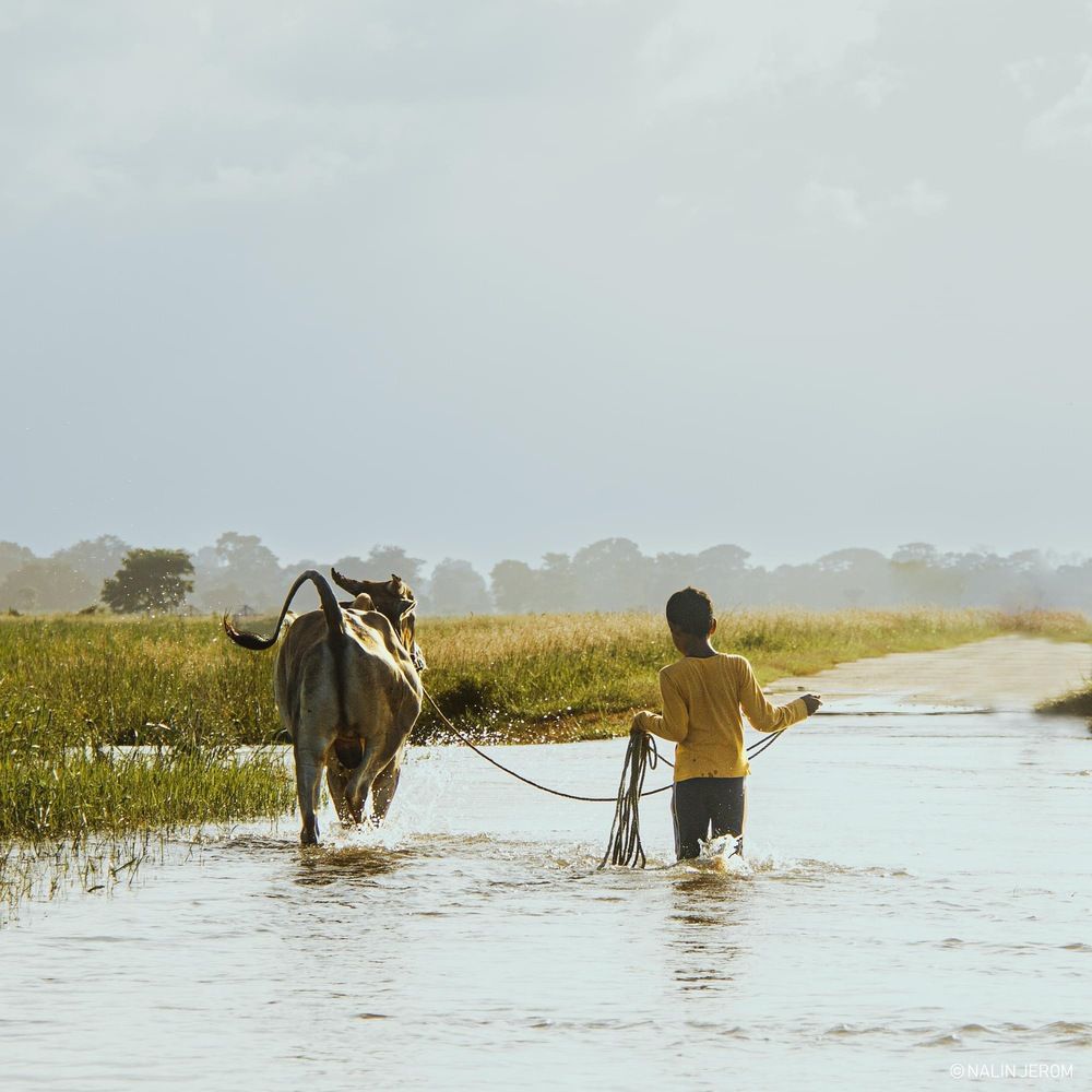 Photograph by Nalin Jerom Nadeshwaran