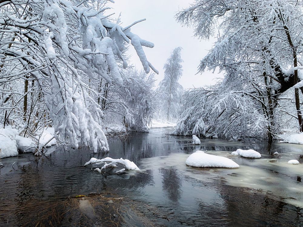 Photograph by Аседач Александр