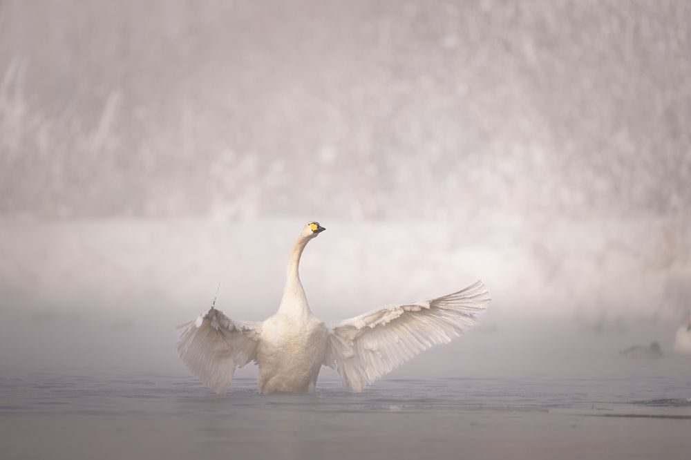 Photograph by Елена Головкина