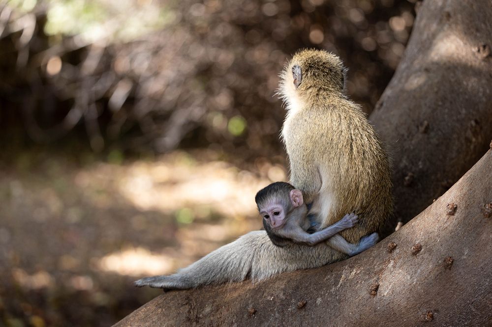 Photograph by Denitsa Kireva