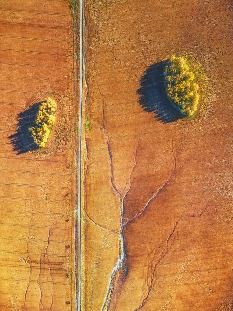 Photograph by Наталия Полякова