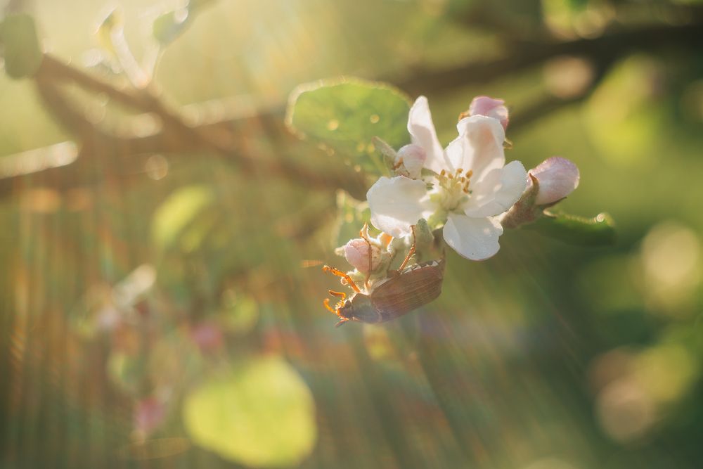 Photograph by Алена