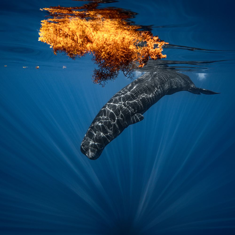 Photograph by Thien Nguyen Ngoc