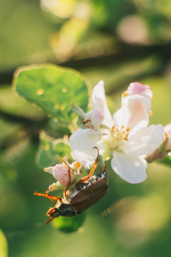 Photograph by Алена