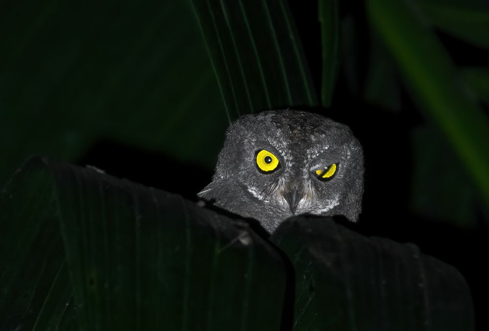 Photograph by Sonika Sharma