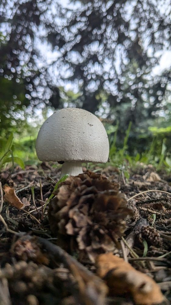 Photograph by Алексей Никифоров