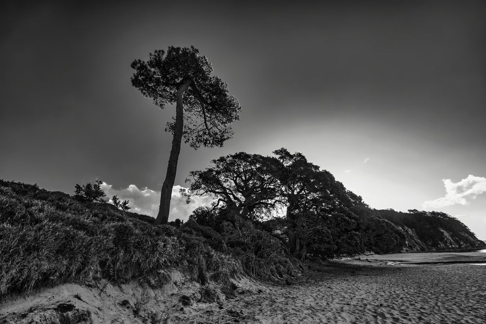 Photograph by Gustavo Silva de Almeida