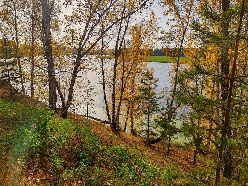 Photograph by Тамара Кремлева