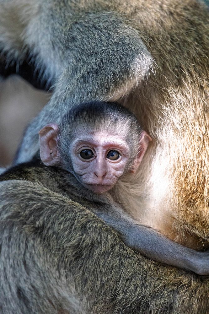 Photograph by Denitsa Kireva