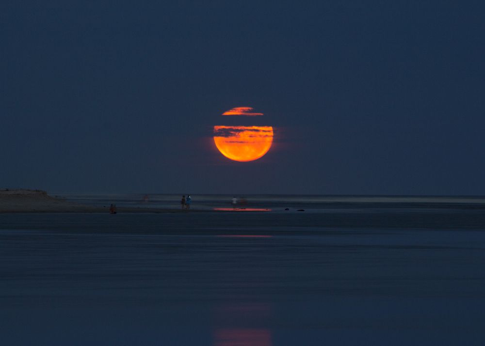 Moon Light