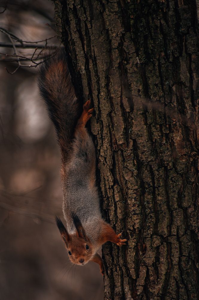 Photograph by Алена