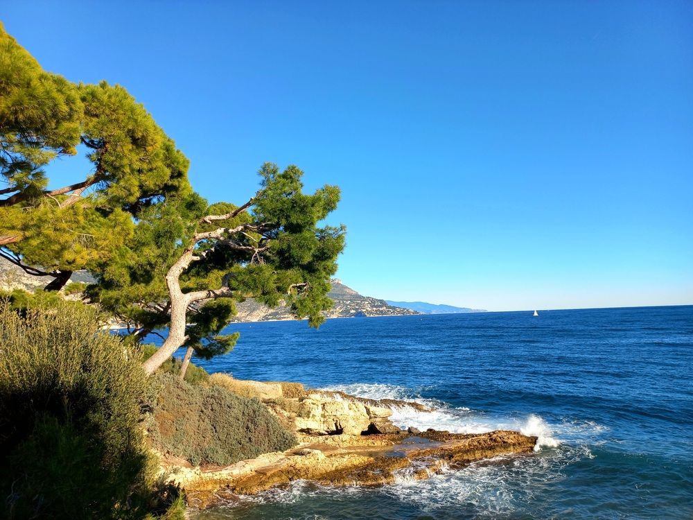 Photograph by Larissa Nayda