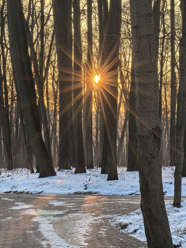 Парк Царицыно