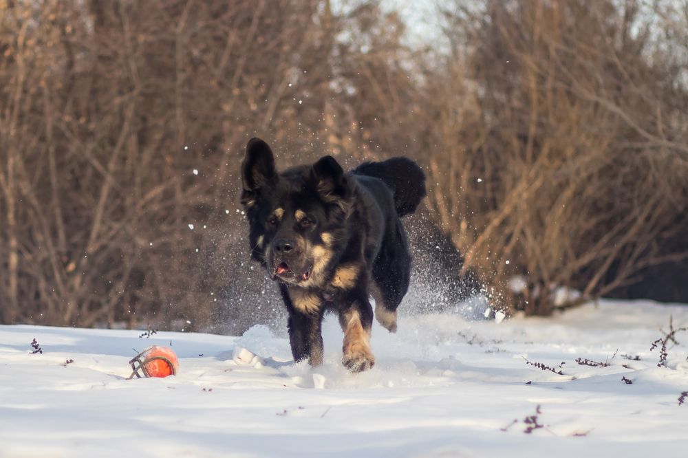 Photograph by Оля Пильвялене