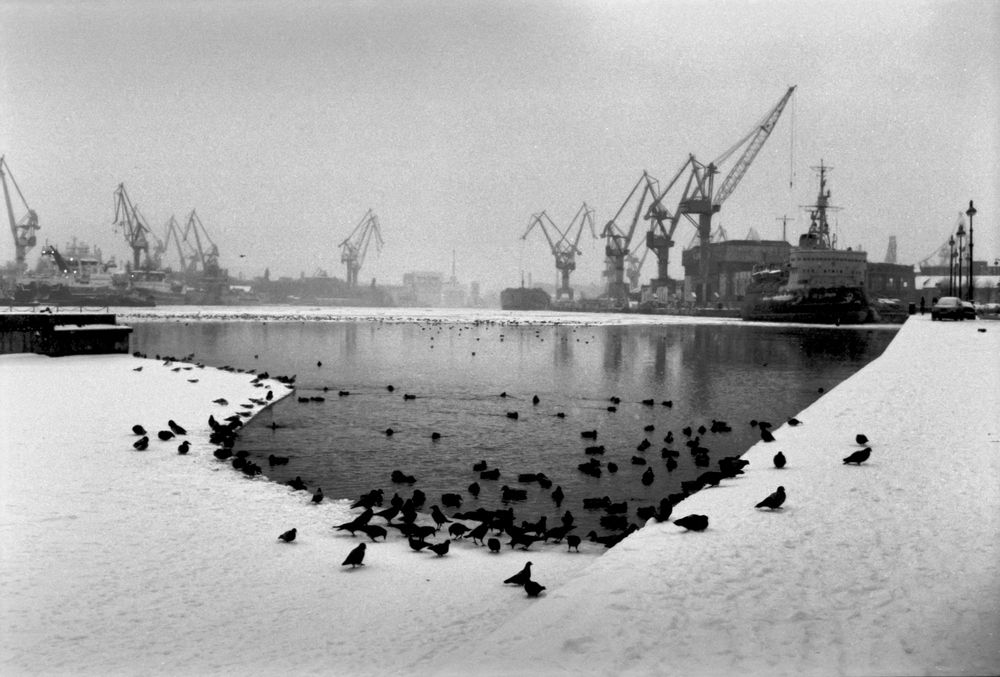 Photograph by Nikitin Igor