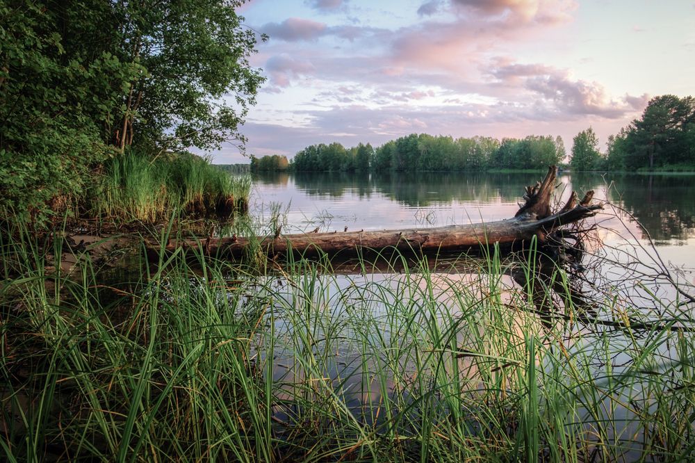 Photograph by Евгений Кузнецов