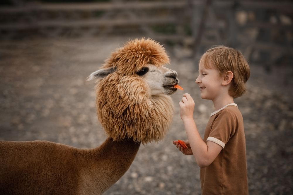 Photograph by Наталья Гришаева