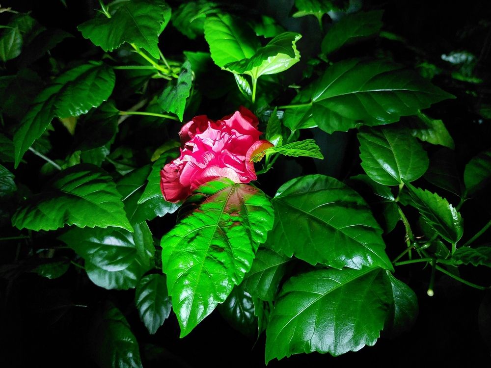 Photograph by Елена Ельчанинова