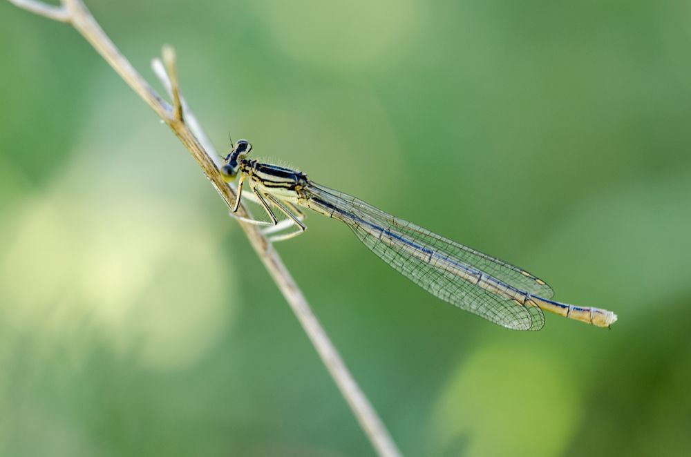 Photograph by Андрей Федоров