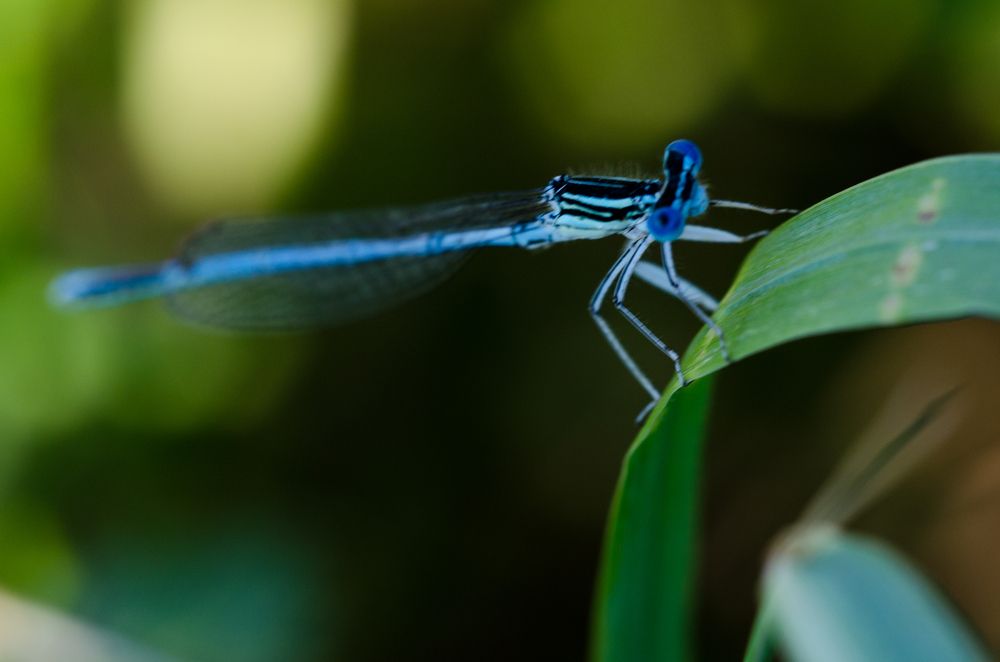 Photograph by Андрей Федоров