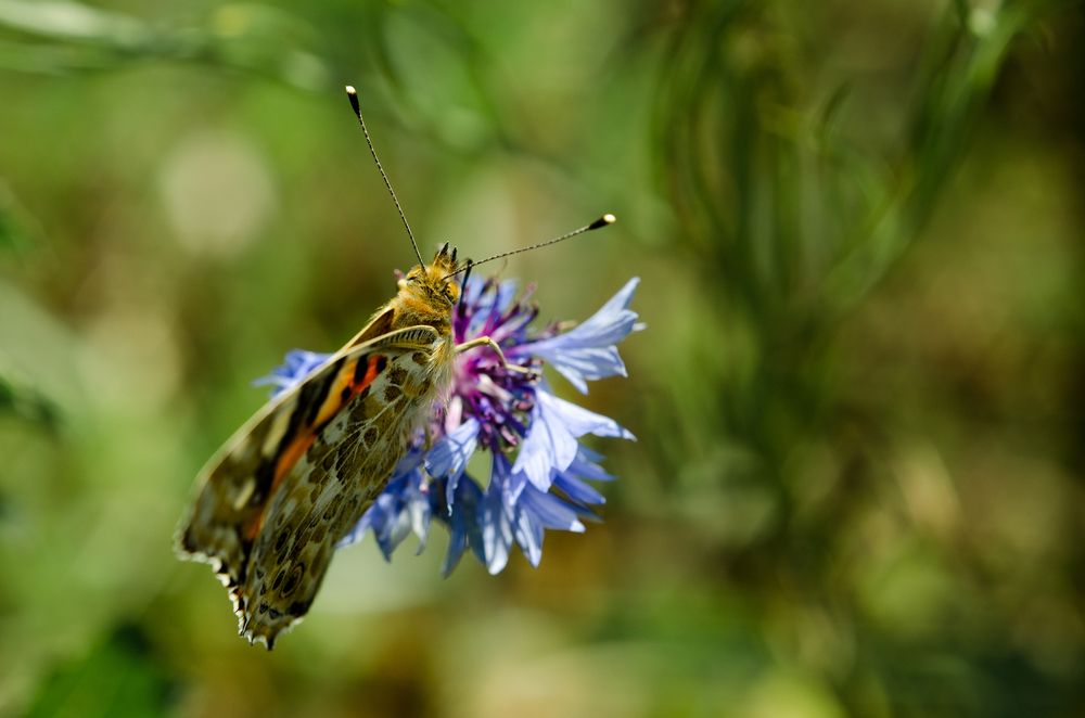 Photograph by Андрей Федоров