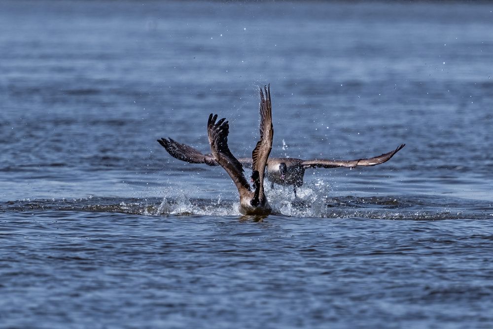 Photograph by Nitin Baste