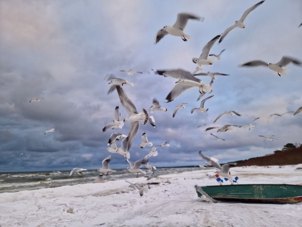 Photograph by Инна Савичева