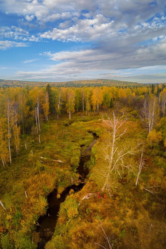 Photograph by Жданов Дмитрий